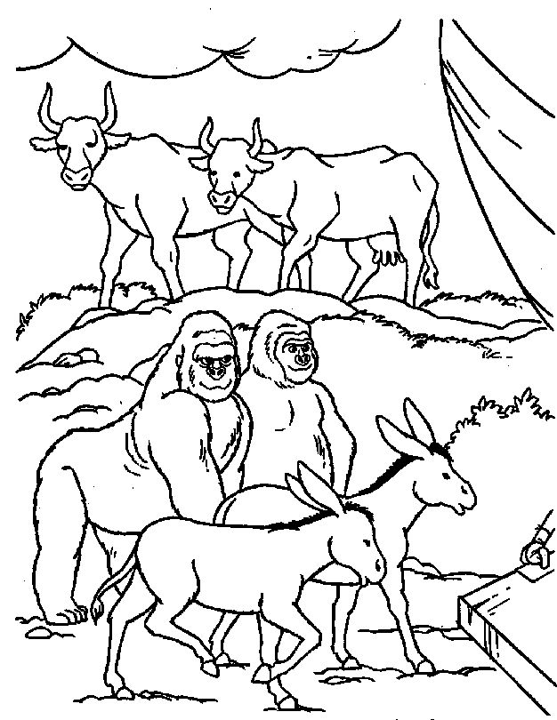 626x810 407 Best Noah's Ark Images On Sunday School Crafts