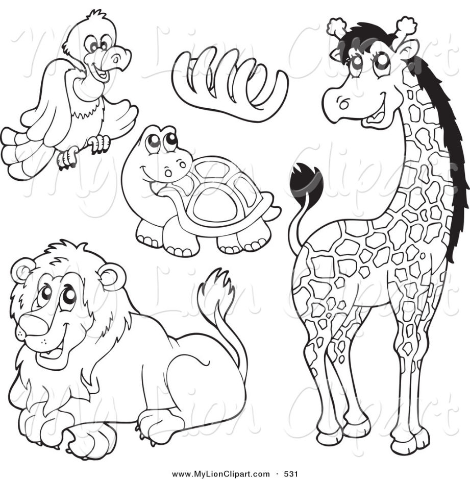 921x938 Limited Zoo Animal Pictures To Color Coloring Page God Created