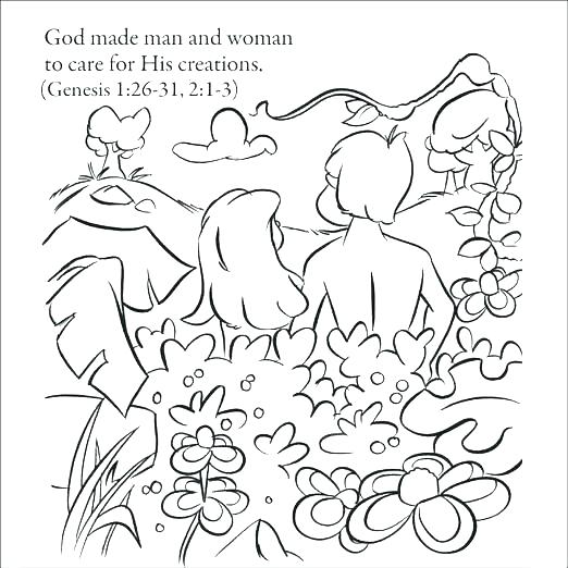 522x522 Coloring Page God Created Animals Bible Color Pages Gods Creation