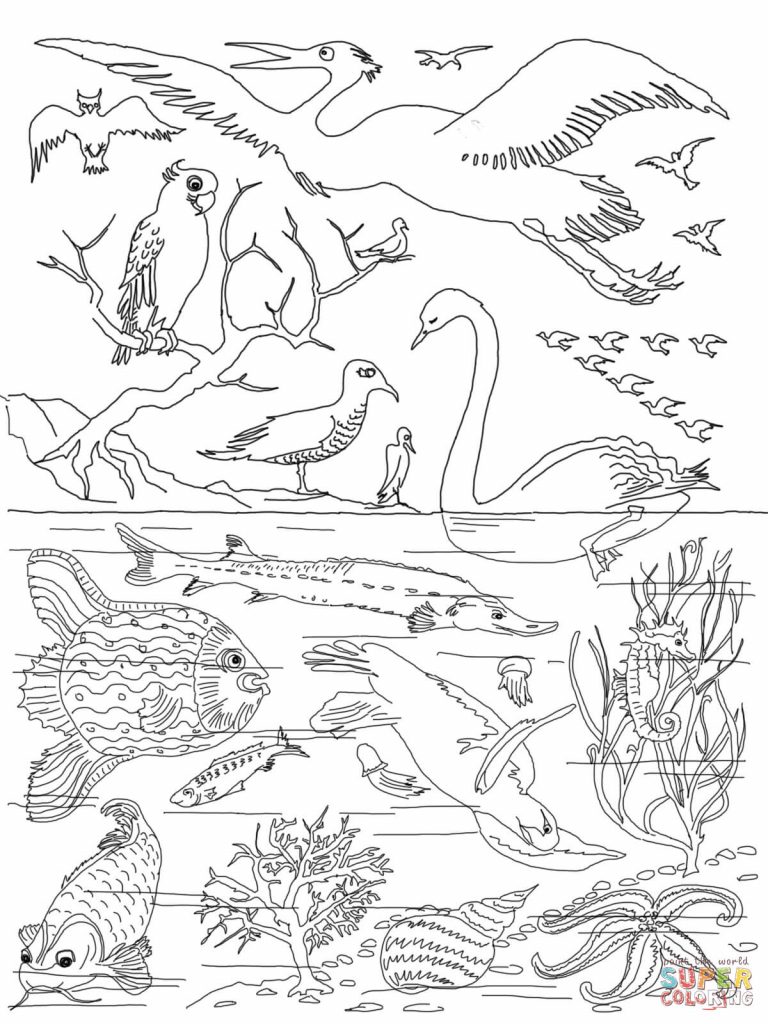 768x1024 Coloring Page God Created Animals Copy Unparalleled Creation