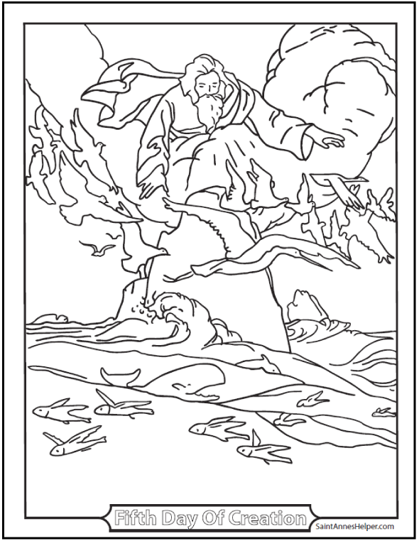 590x762 Creation Coloring Pages God Made Fishes And Birds