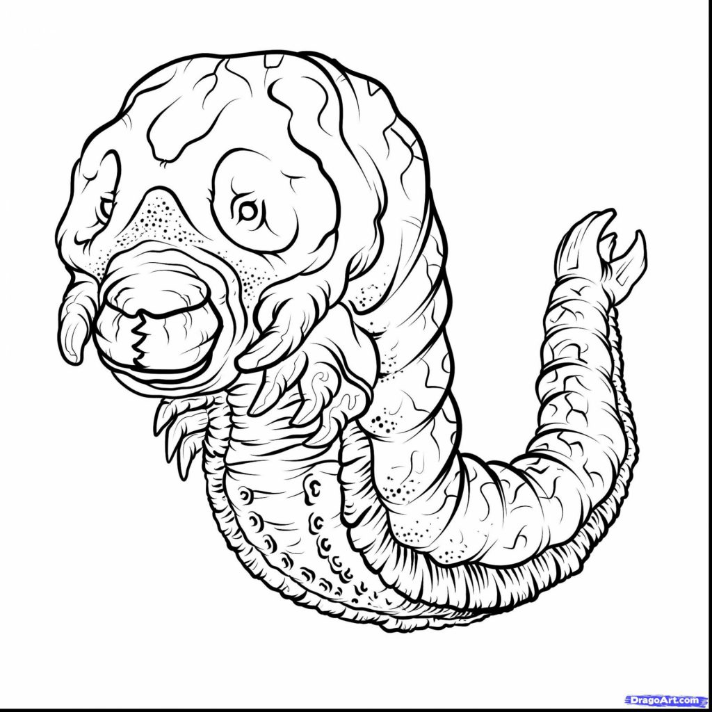 1024x1024 Godzilla Coloring Pages Vs Mothra Adults Free Printable 2014 Games
