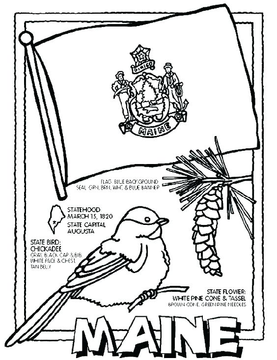 564x733 Golden Gate Bridge Coloring Page Bridge Bridge Golden Gate Bridge