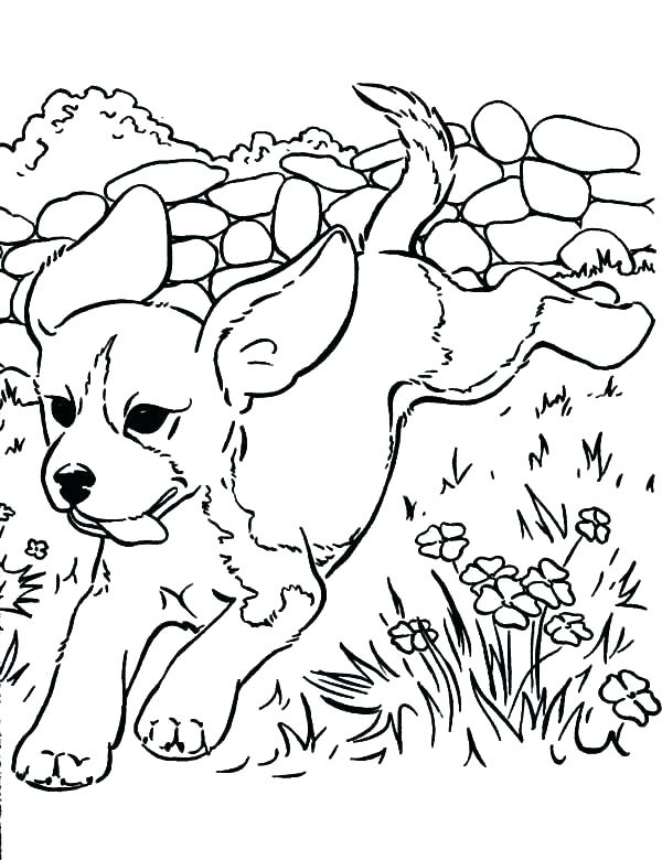 600x780 Lisa Frank Coloring Pages Frank Coloring Pages To Print Golden
