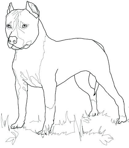 419x480 Retriever Coloring Pages Retriever Coloring Page Retriever
