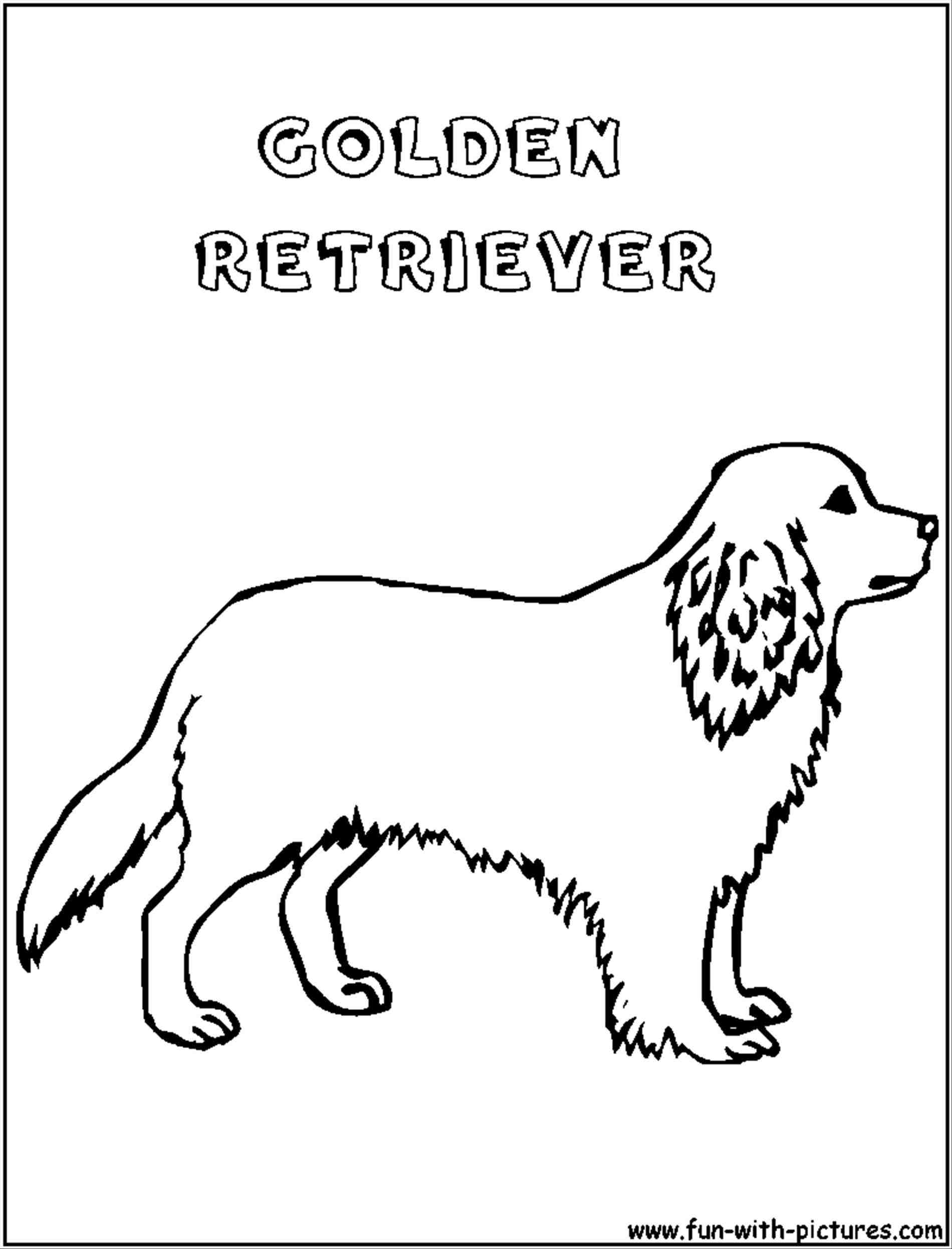 1900x2493 Golden Retriever Puppy Outline Animalsee.club