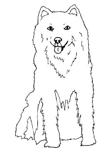 360x480 Husky Puppy Coloring Pages Golden Retriever Puppy Coloring Pages
