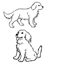 235x252 Coloring Pages Golden Retriever Coloring Pages