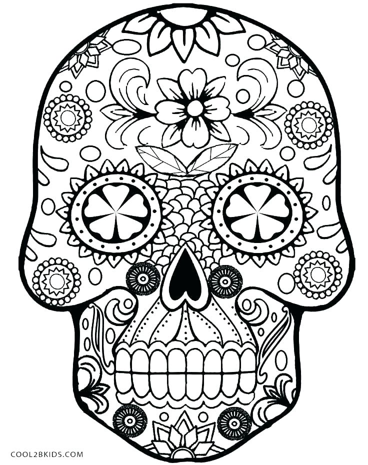 736x930 Golden State Warriors Printable Coloring Pages Skull