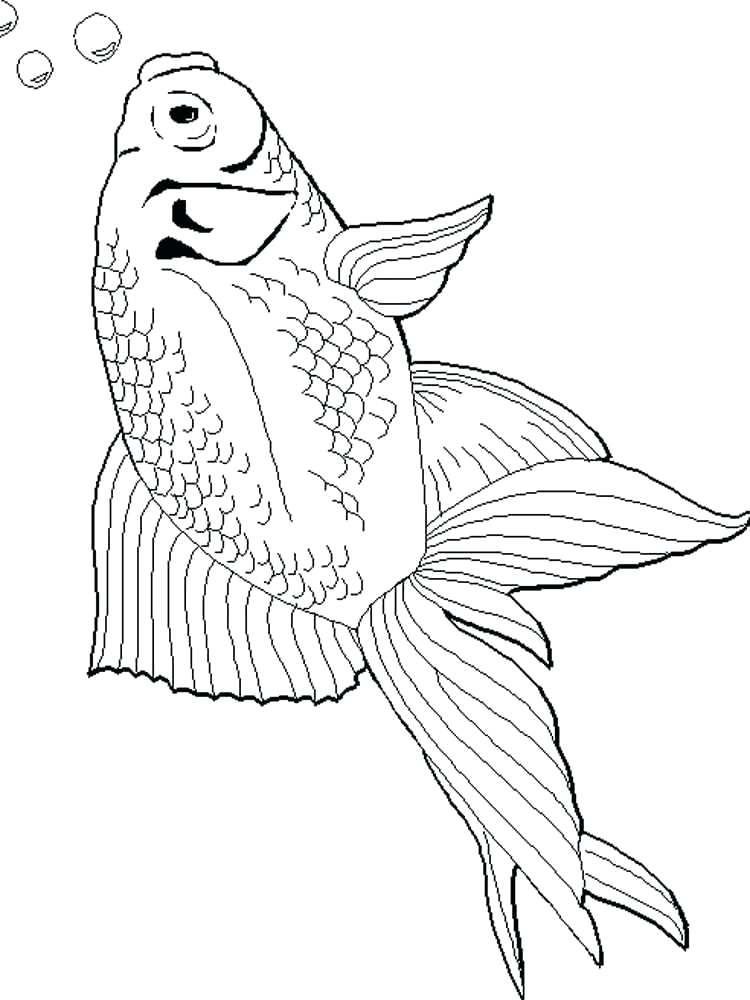 750x1000 Goldfish Coloring Page Goldfishes Coloring Pages 3 Free Printable