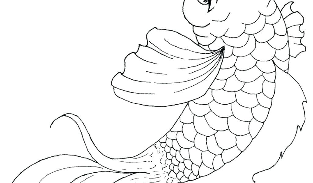 1024x600 Goldfish Coloring Page Goldfish Coloring Pages Images Fish Free