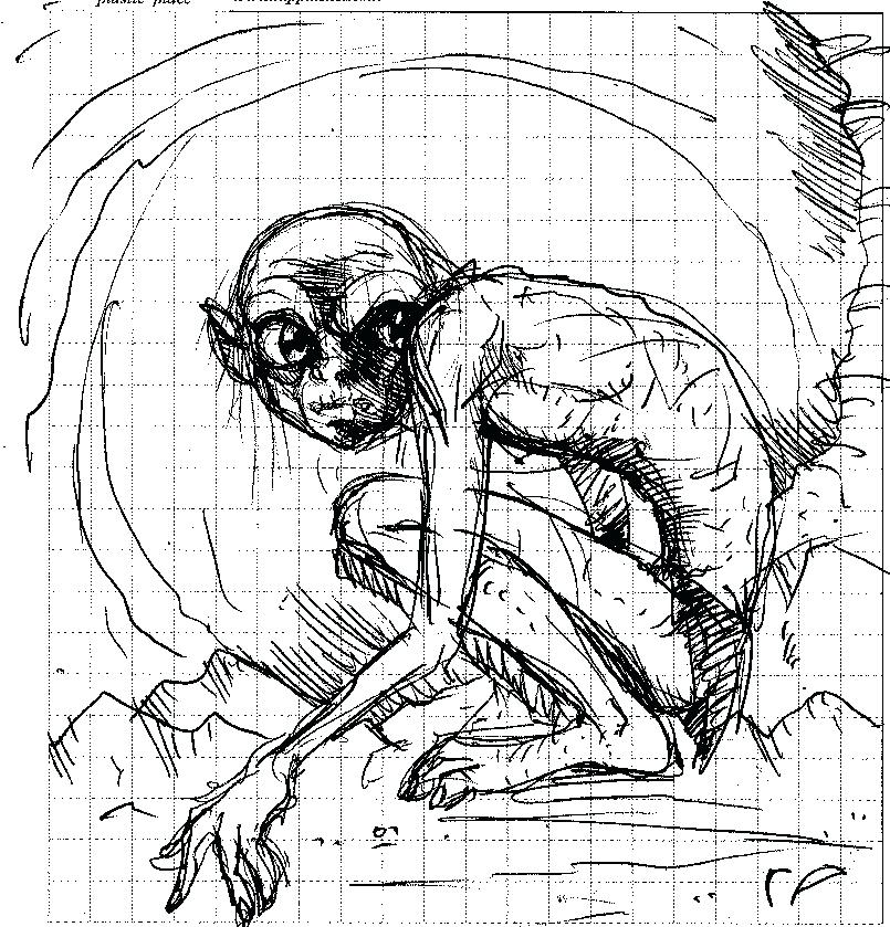 805x839 Gollum Coloring Pages