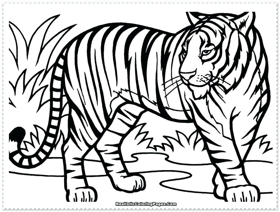 940x714 Coloring Pages Com Coloring Pages For Girls Google Search Coloring