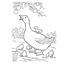 Goose Coloring Page