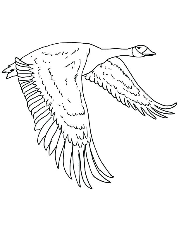 612x792 Goose Coloring Page Goose Coloring Page Download Free Pages Golden