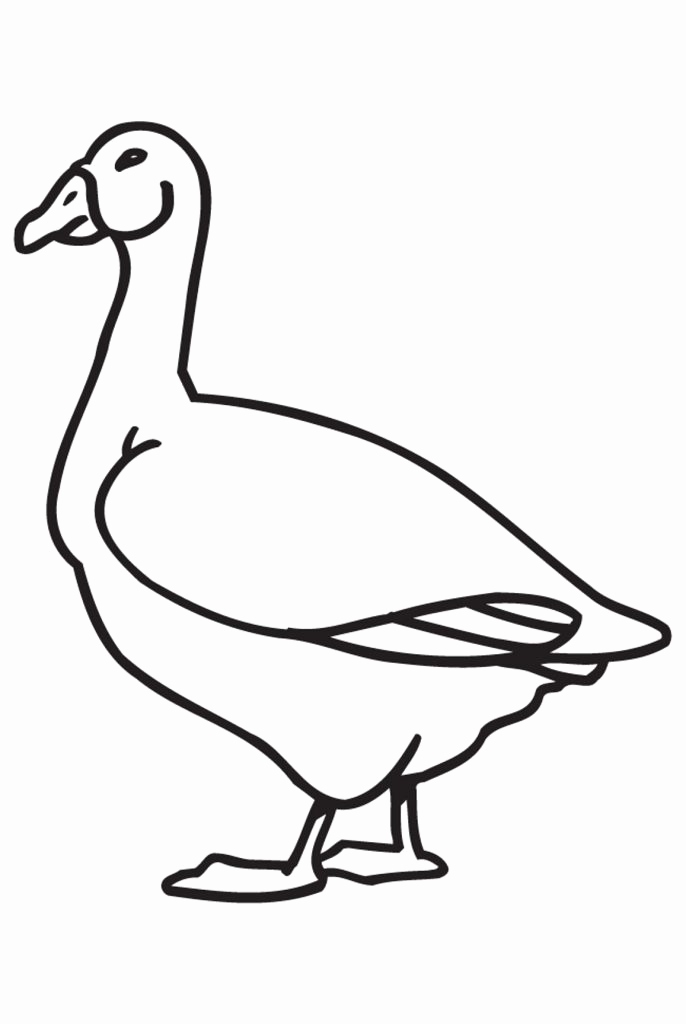 686x1024 12 Beautiful Of Baby Goose Coloring Pages Stock