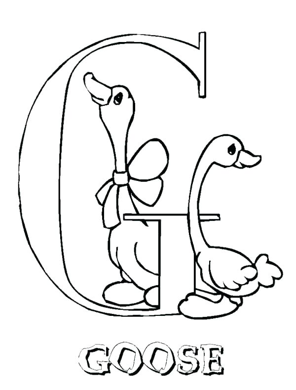 600x789 Goose Coloring Page