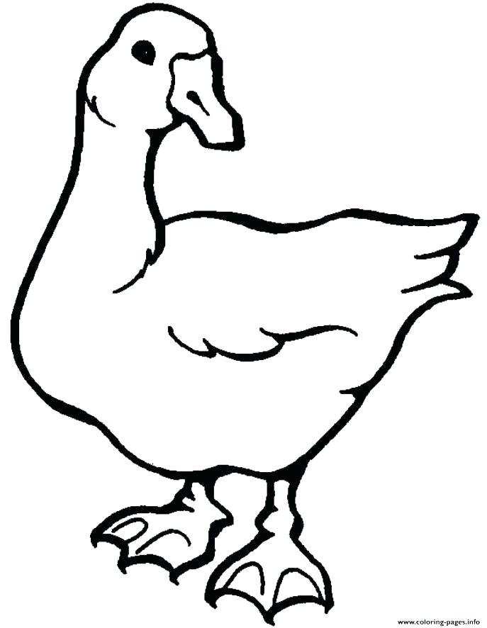 687x886 Goose Coloring Page Goose Coloring Page Goose Animal Coloring