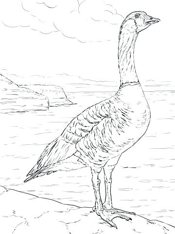 360x480 Goose Coloring Page