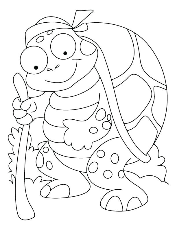 612x792 An Old Tortoise Coloring Pages An Old Tortoise Coloring Pages