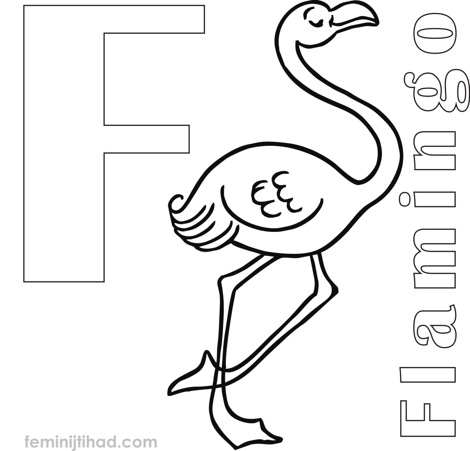 1601x1537 Best Flamingo Coloring Pages To Print Coloring Pages For Kids