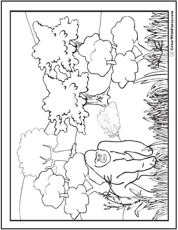 590x762 Gorilla Coloring Pages Print And Customize