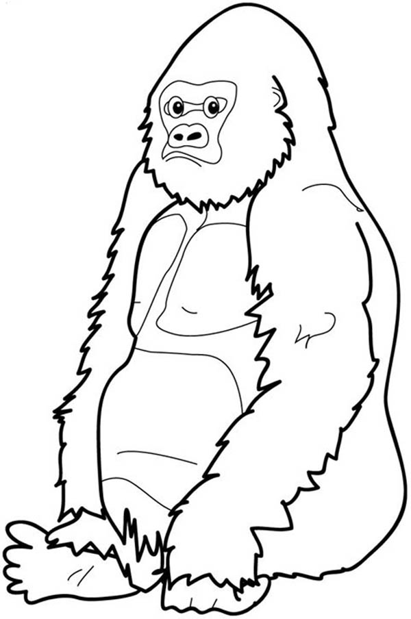 600x904 Gorilla Sitting Coloring Page