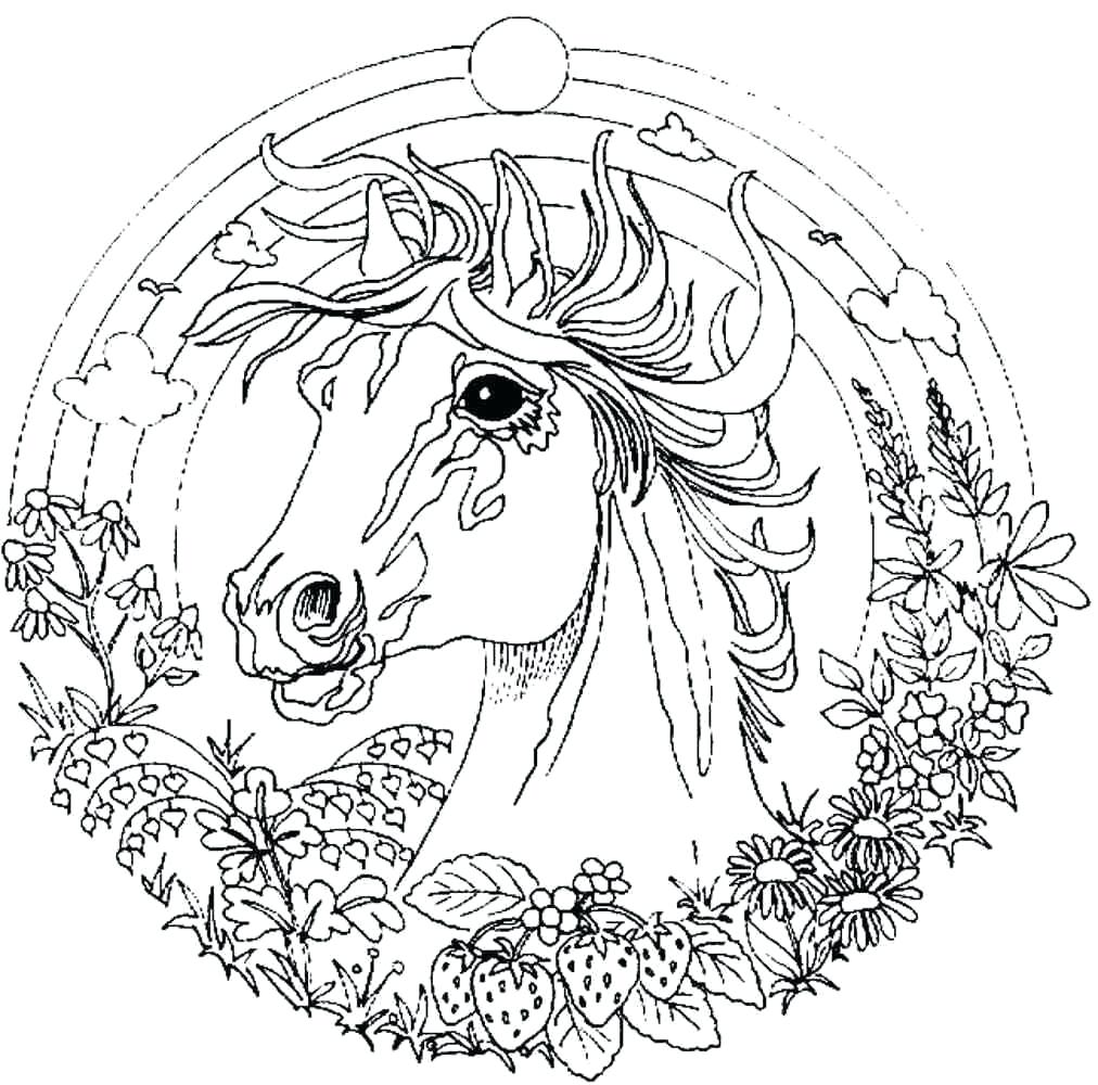 1012x1000 Coloring Pages ~ Fairy Coloring Pages Baby Gothic For Adults Fairy