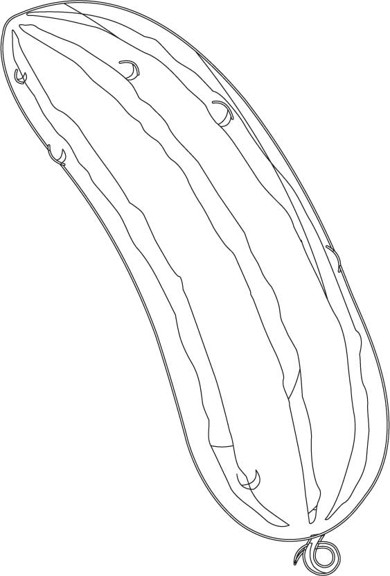 563x830 Japanese Cucumber Coloring Page Download Free Japanese Cucumber