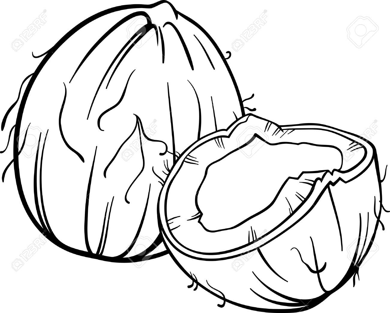 1300x1045 Awesome Coconut Coloring Pages Gallery Printable Coloring Sheet