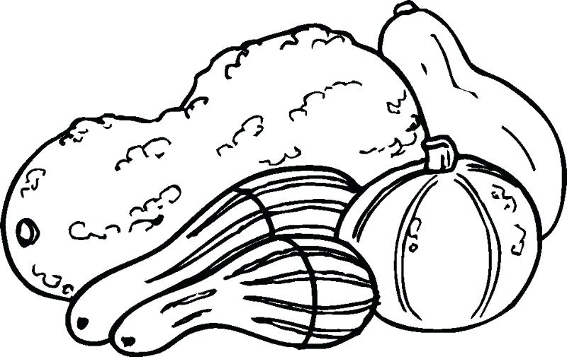 800x504 Warty Gourd Maze Coloring Page Coloring Pages Full Printable