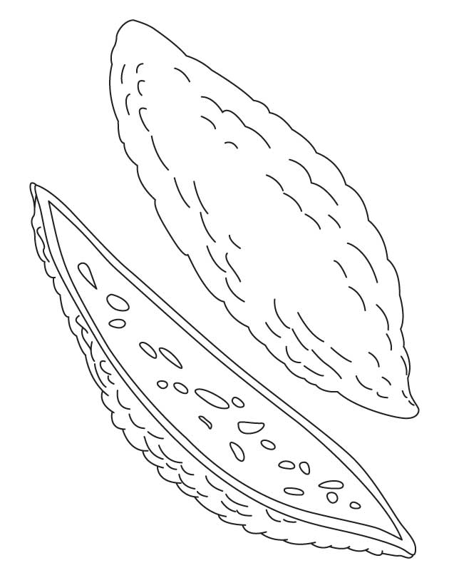 630x810 Bitter Bitter Gourd Coloring Pages, Kids Coloring Pages, Free