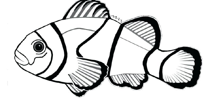 810x404 Clown Fish Coloring Page Coloring Pages 3 Free Clown Fish Coloring