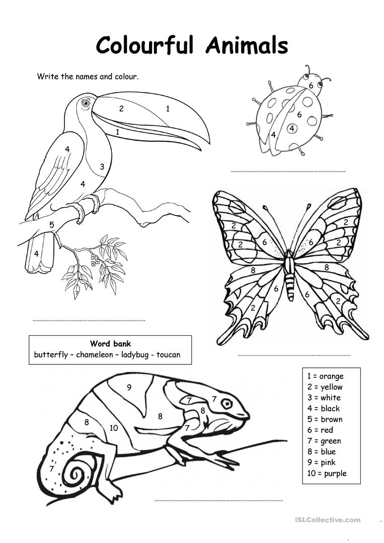 763x1079 63 Free Esl Coloring Worksheets