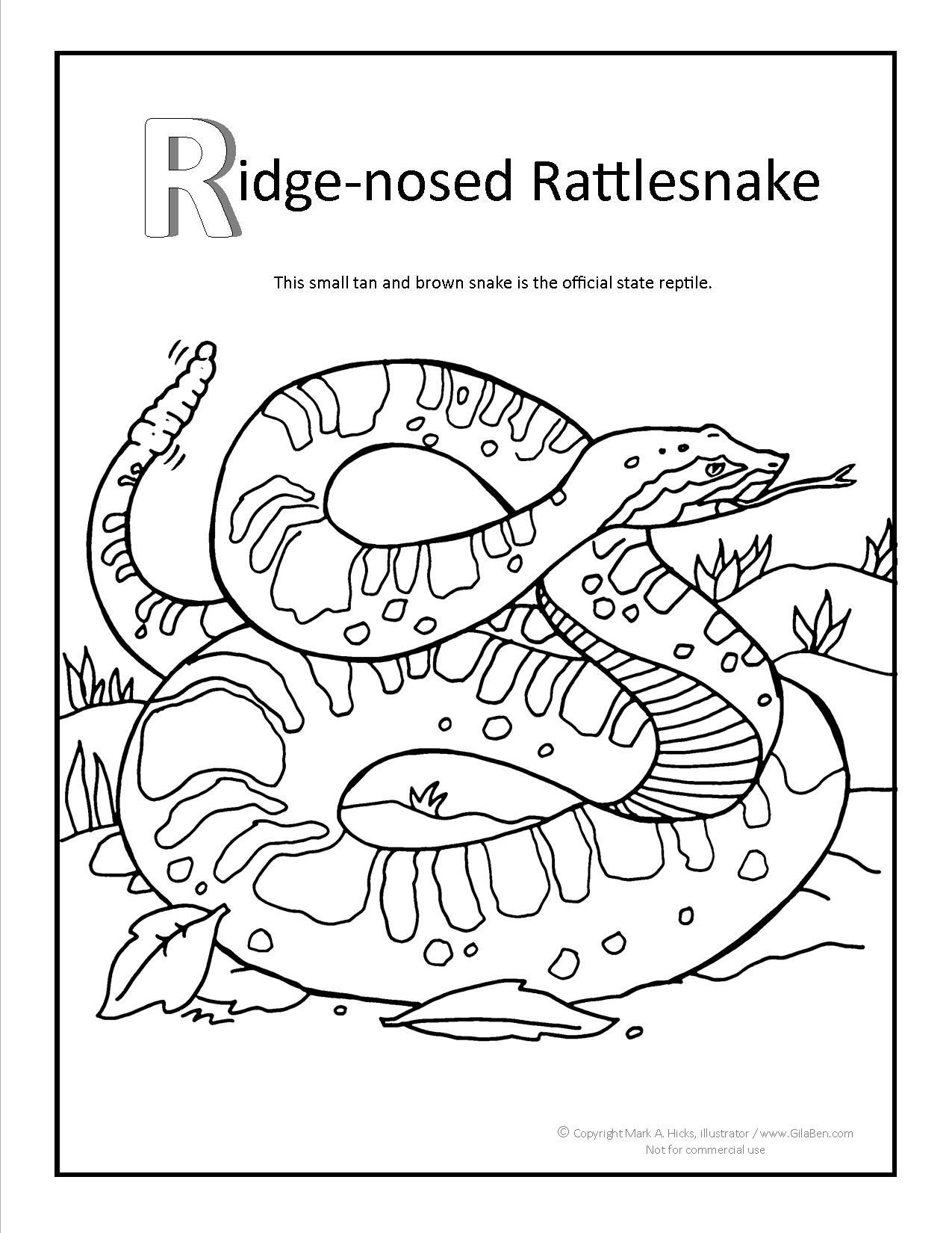 1275x1650 Ridge Nosed Rattlesnake Coloring Page At Gilaben Com Arizona