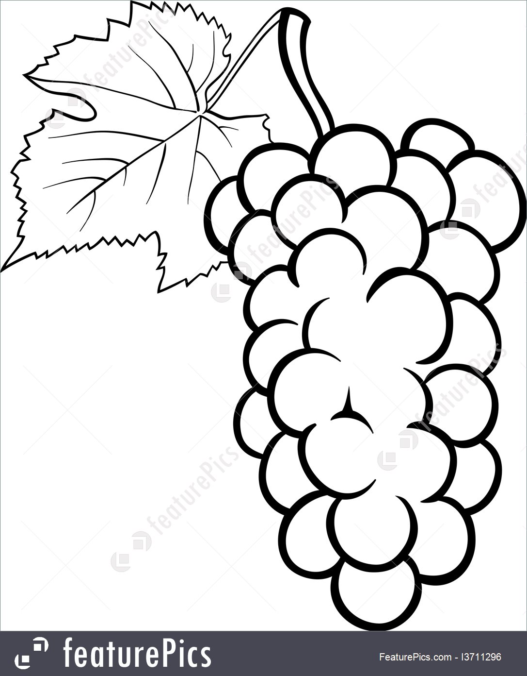 1087x1392 Grapes Design For Coloring Book Illustration