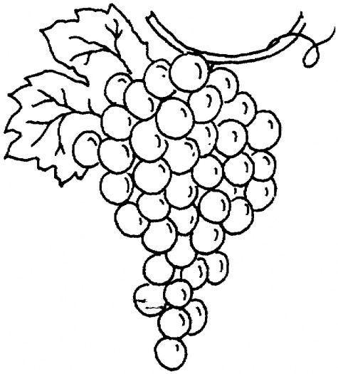 475x525 Bunch Of Grapes Coloring Page To Use As An Embroidery Pattern