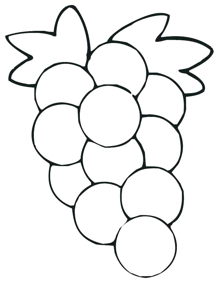 738x954 Grapes Coloring Pages Grape Coloring Page Grape Vineyard Coloring