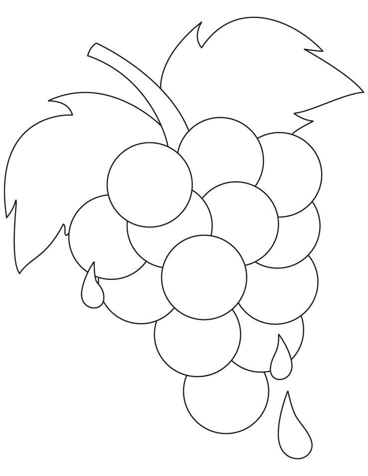 738x954 Grapes Coloring Pages Grape Vine Colouring Page