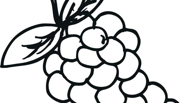 585x329 Grapes Coloring Pages Grapes Coloring Page Pages Grape 4 Fox
