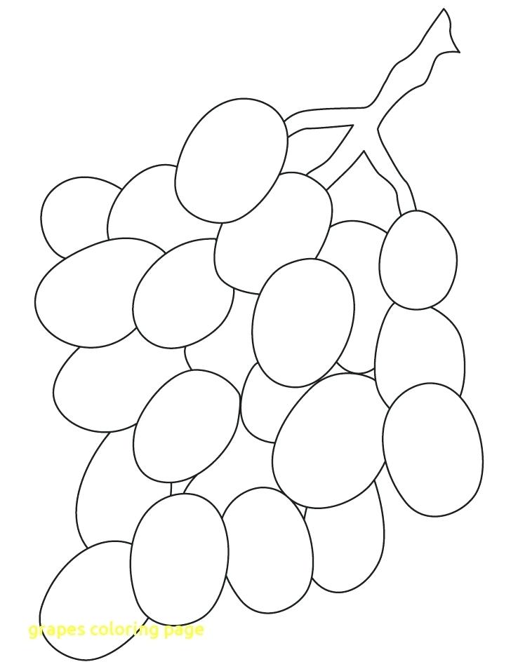 738x954 Grapes Coloring Pages Grapes Coloring Page With Bunch Grapes