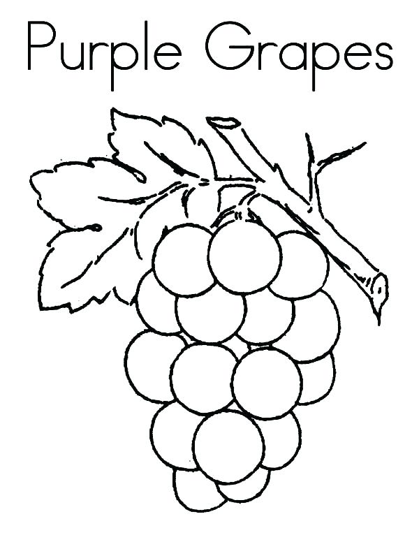 600x776 Grapes Coloring Pages Wine Grapes On The Vine Coloring Pages Grape