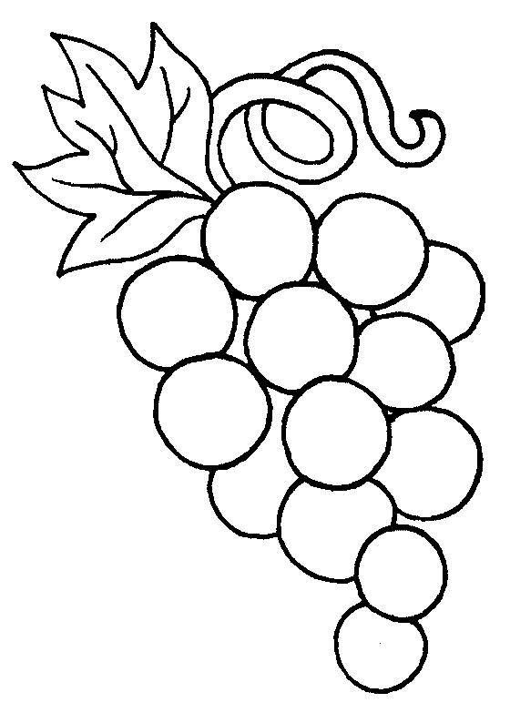 560x794 Grapes Coloring Page 3