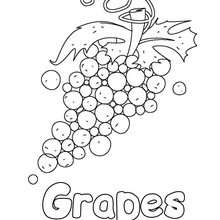 220x220 Grapes Coloring Pages