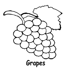 230x230 Top 25 Free Printable Lovely Grapes Coloring Pages Online