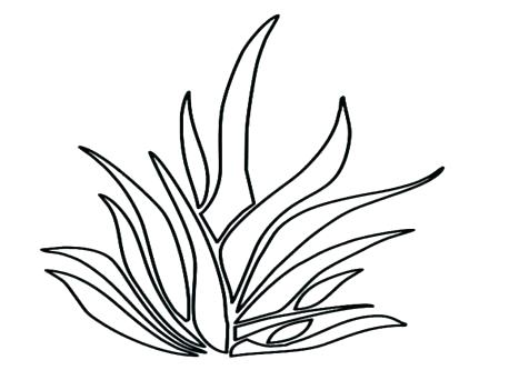 476x333 Grass Coloring Page Grass Coloring Pages Tree Coloring Pages Grass