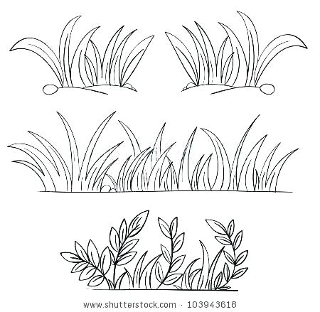 450x439 Grass Coloring Page Grass For Coloring Free Grass Coloring Pages