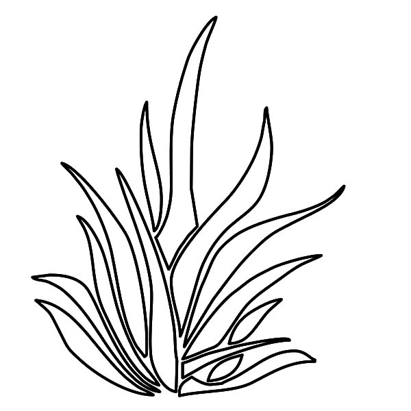 600x600 Grass Coloring Pages For Kids Color Luna