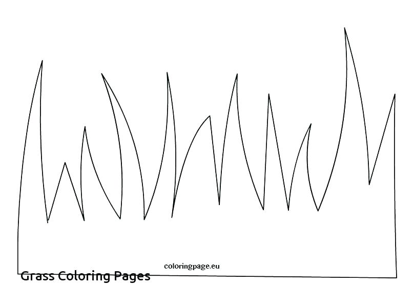 808x595 Grass For Coloring Grass Coloring Page