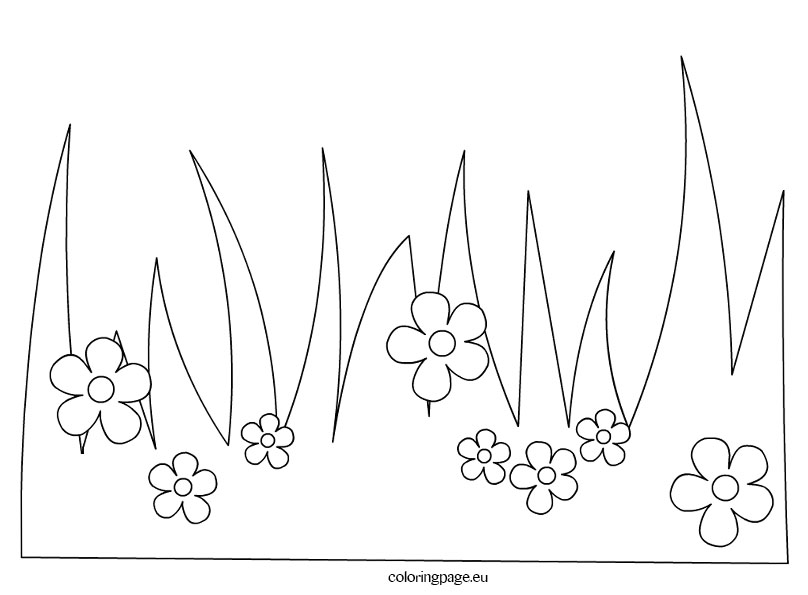 808x595 Grass With Flowers Coloring Page